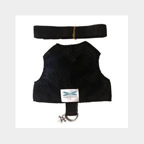 Dragonfly Cat Harness Leash Set - Black Mesh - S- 51743/4274