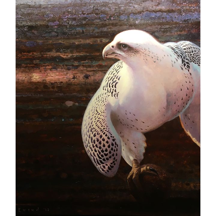 Ewoud de Groot (1969- ), Gyrfalcon