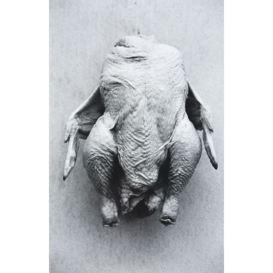 Peter Peryer 'Headless Chicken'