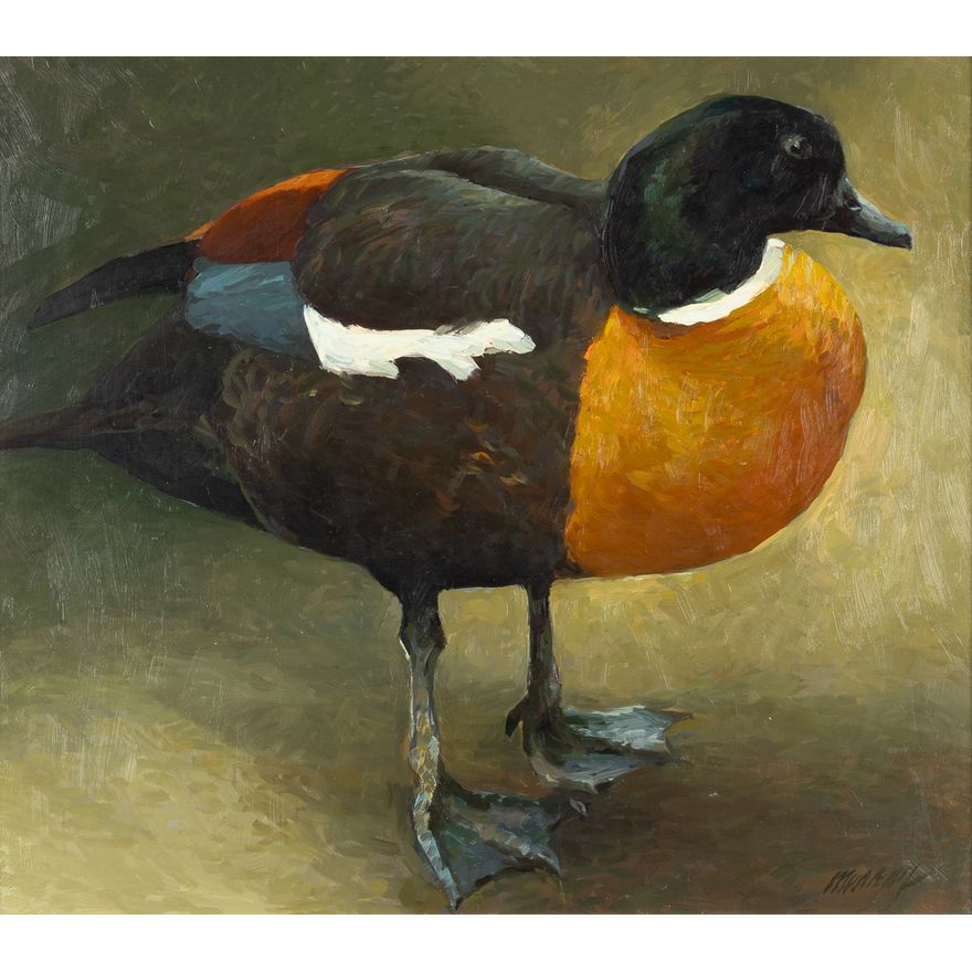 Richard Murray (1948- ), Shelduck