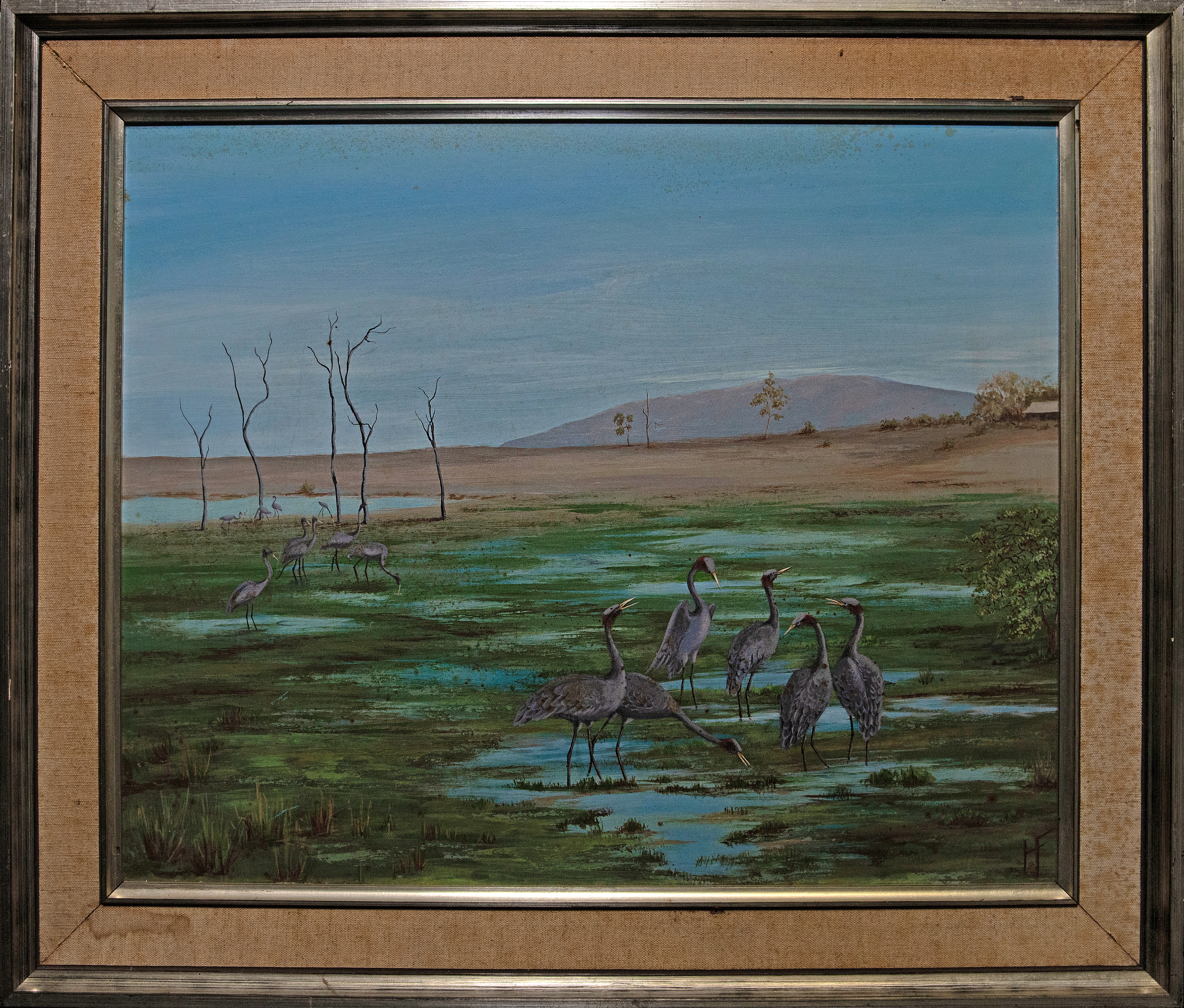 441 · Helen Franklin, 'Brolgas, Townsville Common', 1962