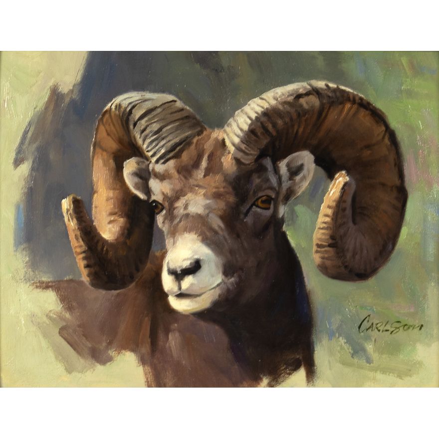 Ken Carlson (1937- ), Bighorn Portrait