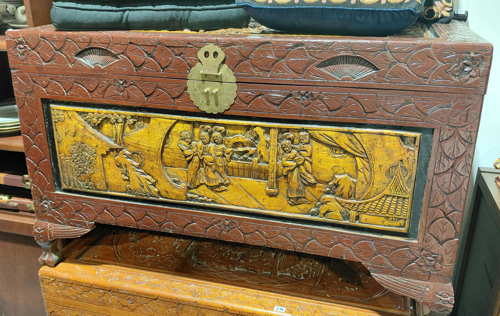 237 · CAMPHORWOOD TRUNK