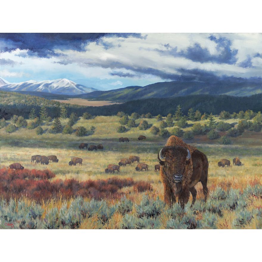 Sarah Woods (1956- ), Icon of the West