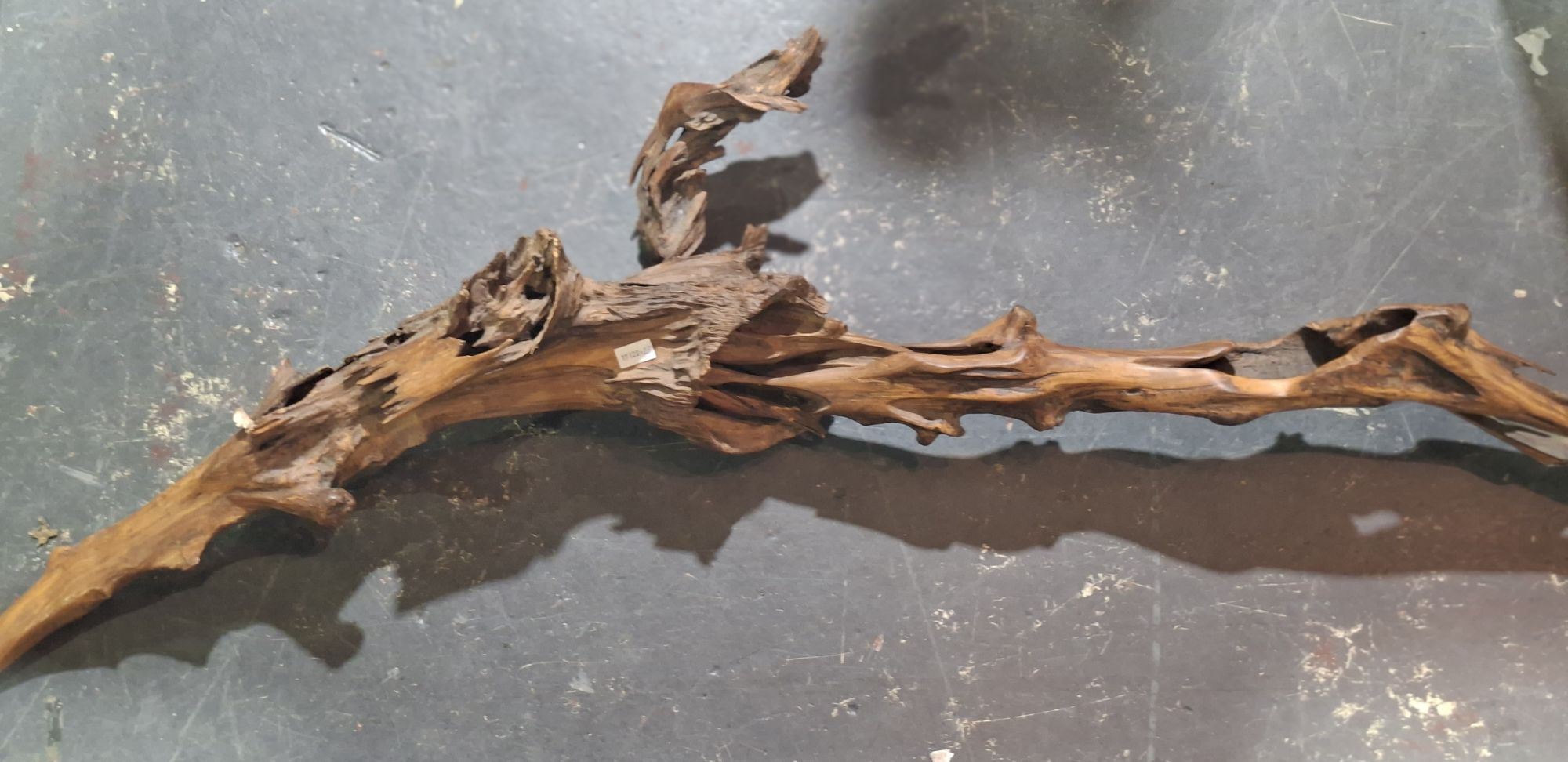 Drift Wood Branch