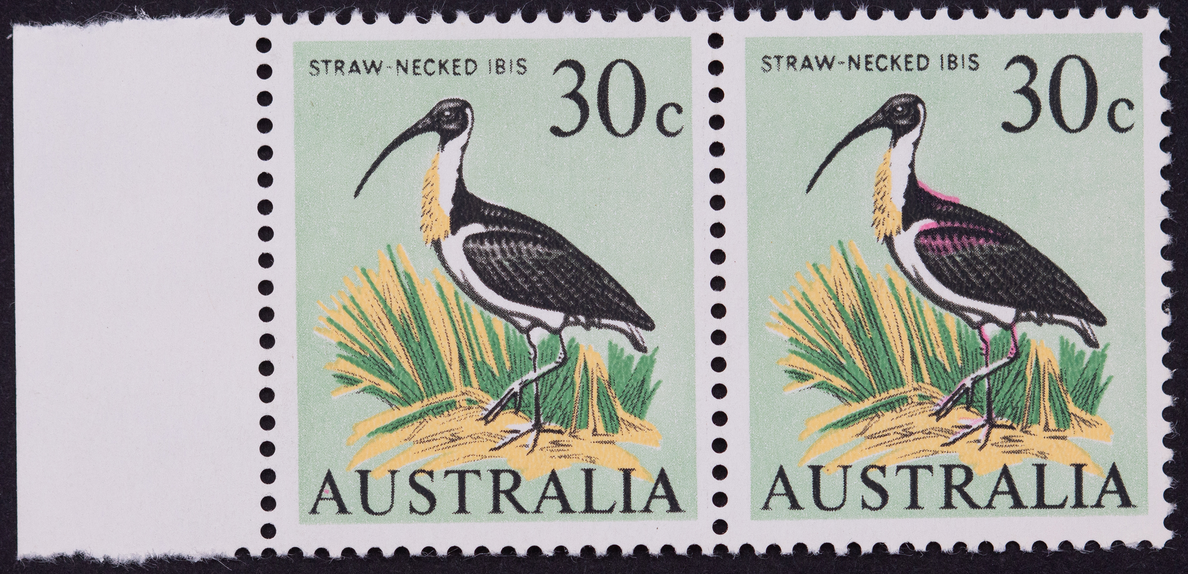 Thirty Cents, 1966, Fine
