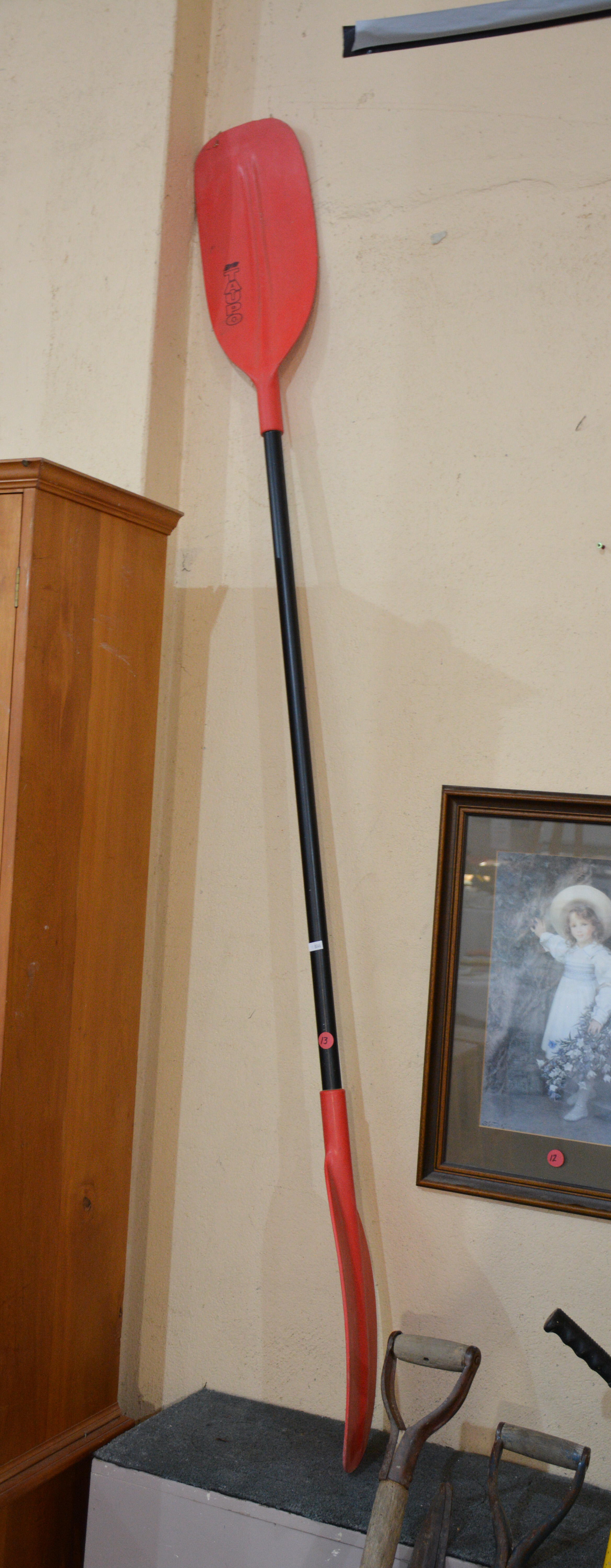 Taupo Paddle — NZ auction result