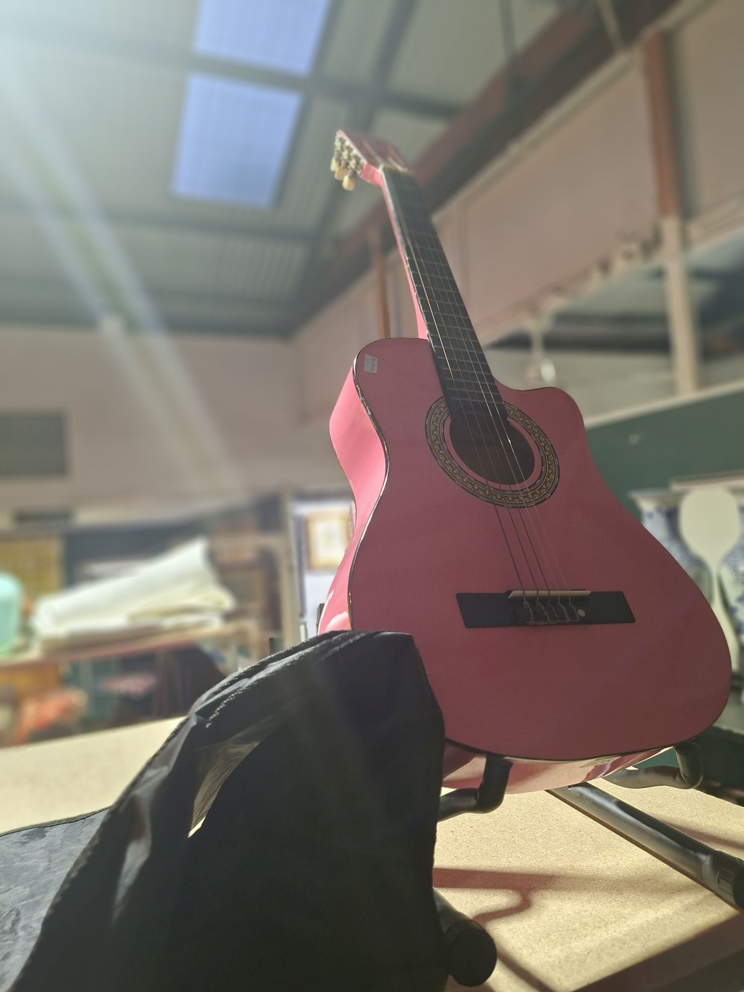 Karrera Guitar Case And Stand