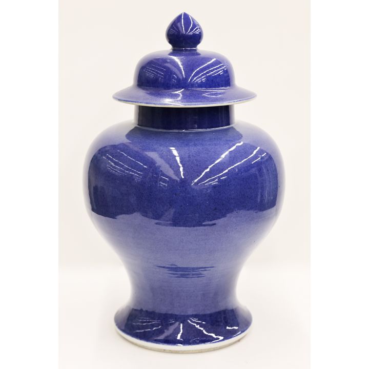 Chinese Powder Blue Monochrome Porcelain Jar