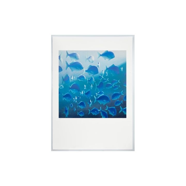 Michael Smither 'Blue Maomao'