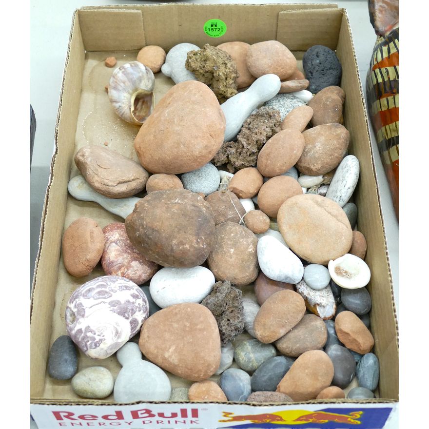 Box Old Minerals & Shells