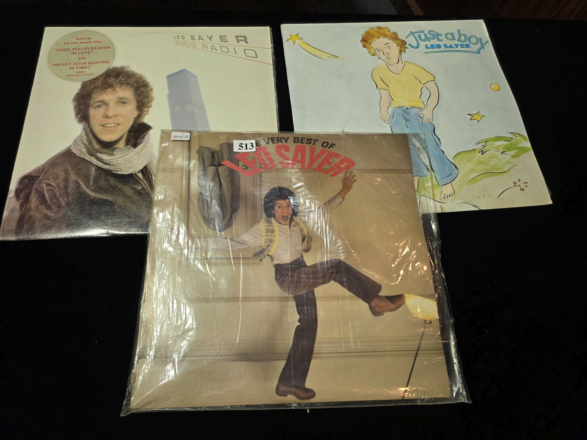 Leo Sayer