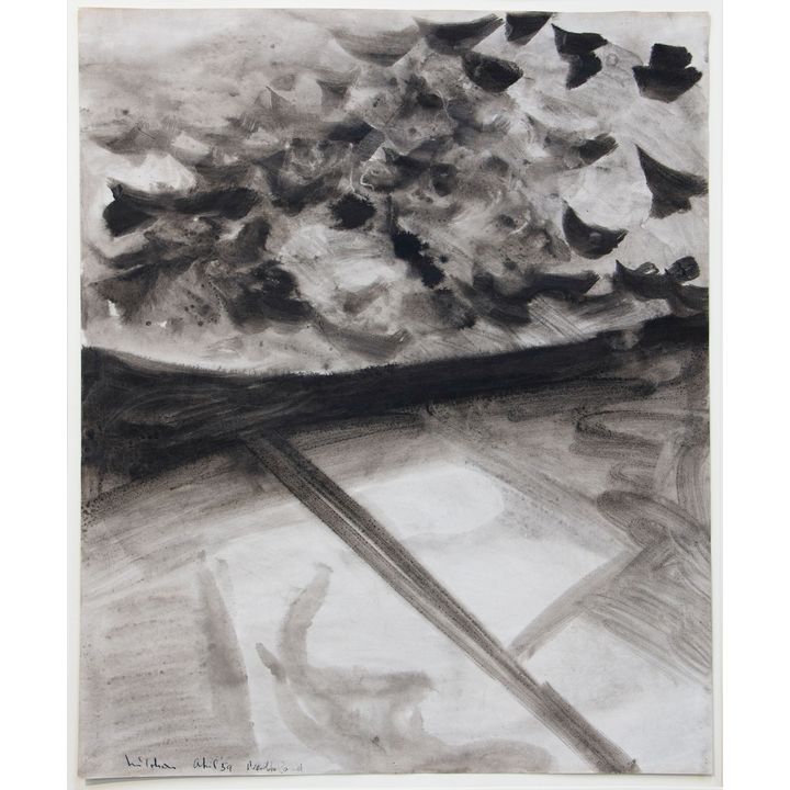 Colin McCahon 'Northland'
