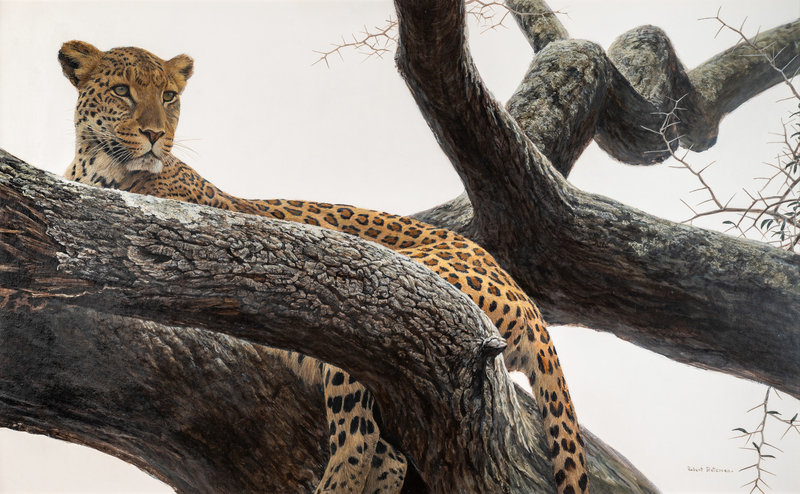 Robert Bateman
(Canadian, b. 1930)
Leopard at Seronera, 1974