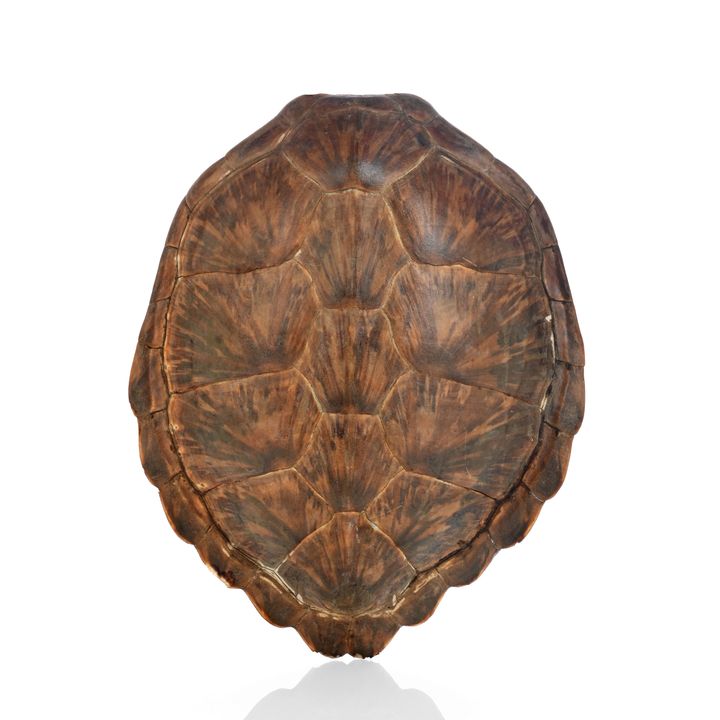 All Lots | Russell Kaplan Auctioneers