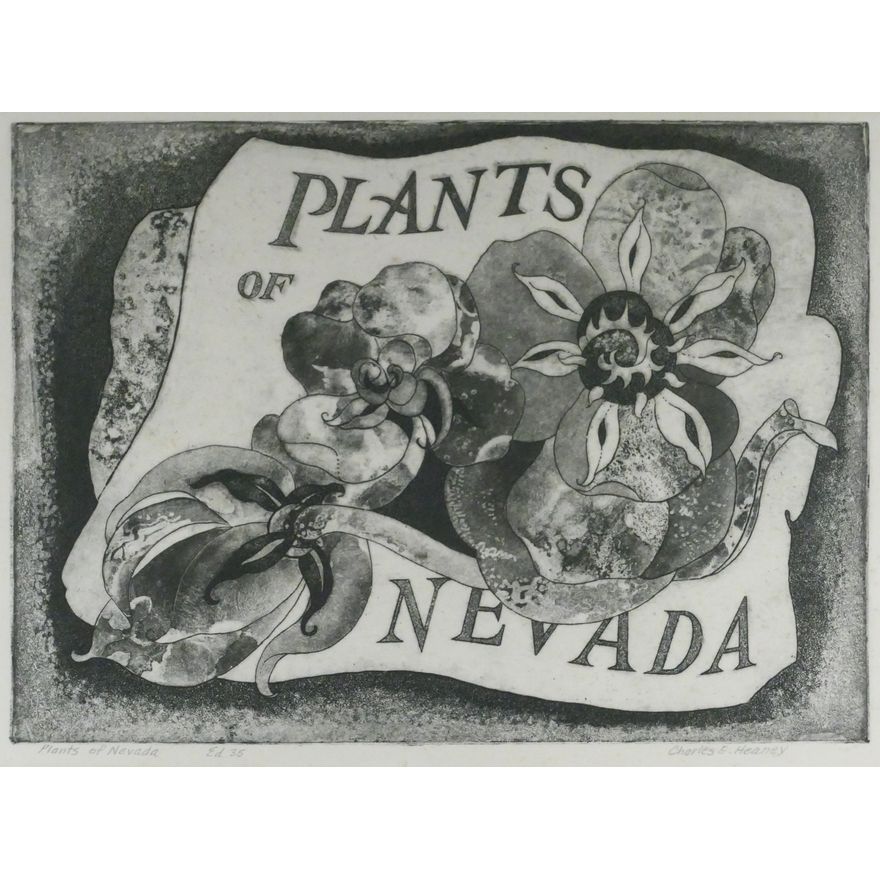 Charles Heaney ''Plants of Nevada'' 1945 Etching