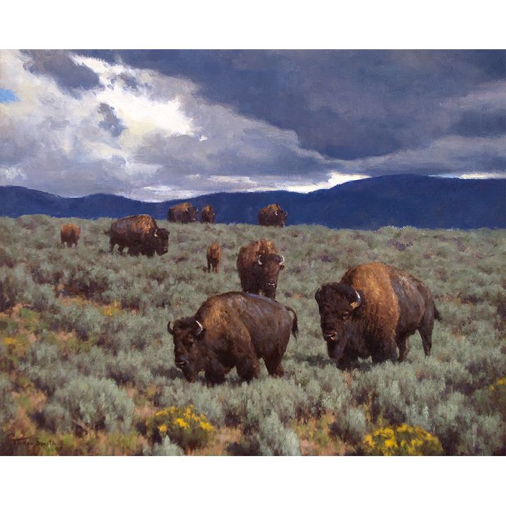Tucker Smith (1940- ), A Bunch of Bison