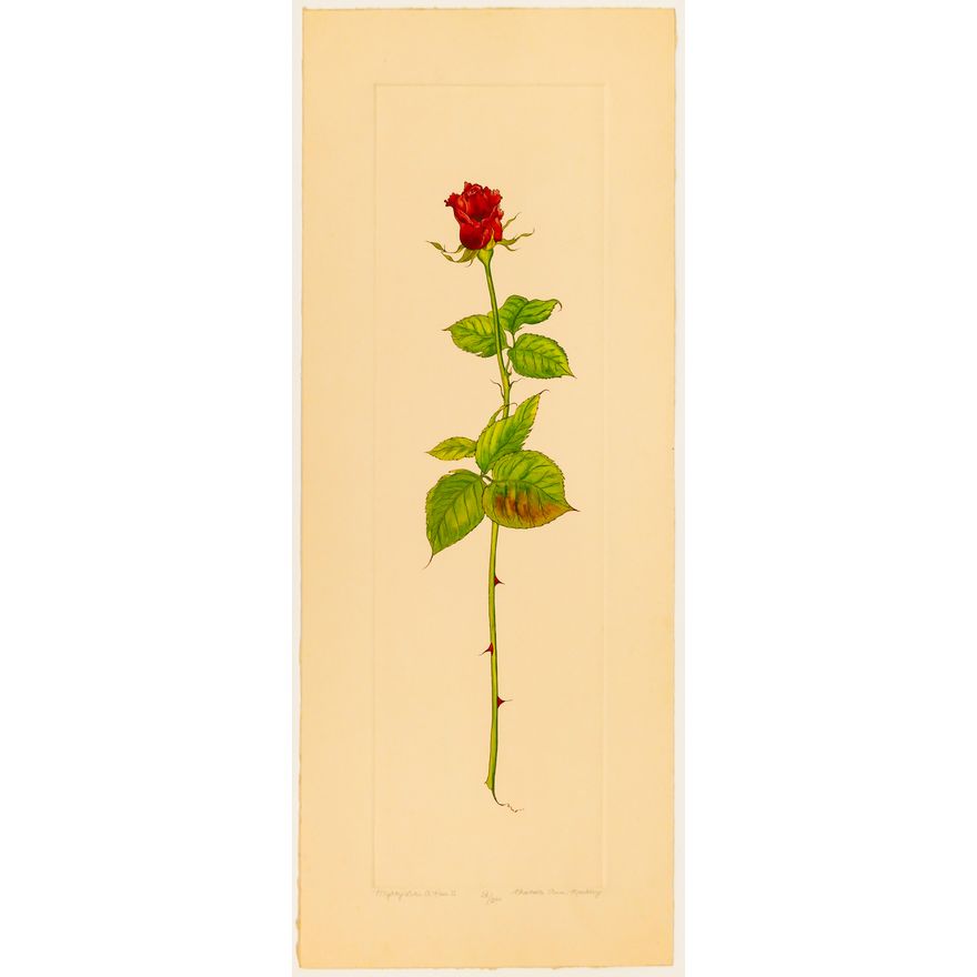 Charlotte Ann Meckley ''Mighty Like a Rose II'' S/N Print Sheet