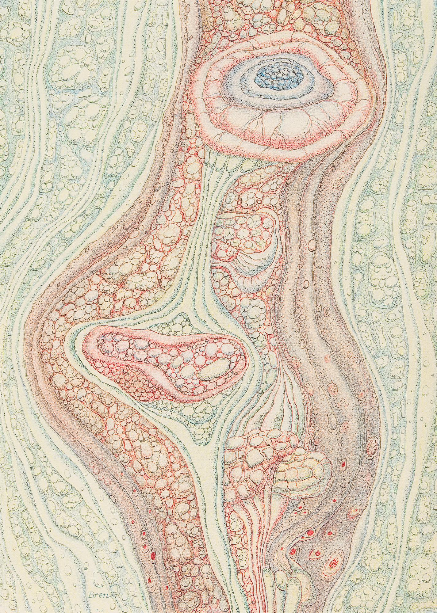 No cover image