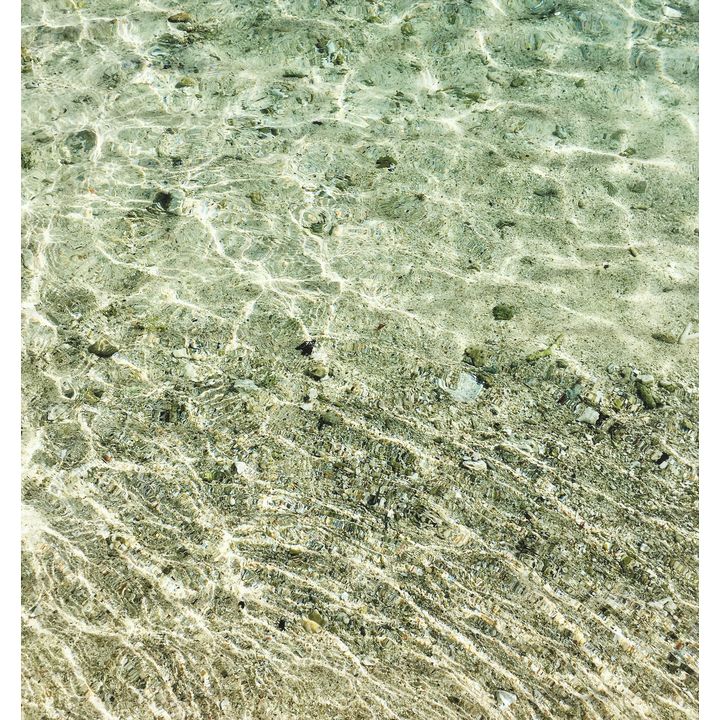 Erica van Zon 'Coral Beach'