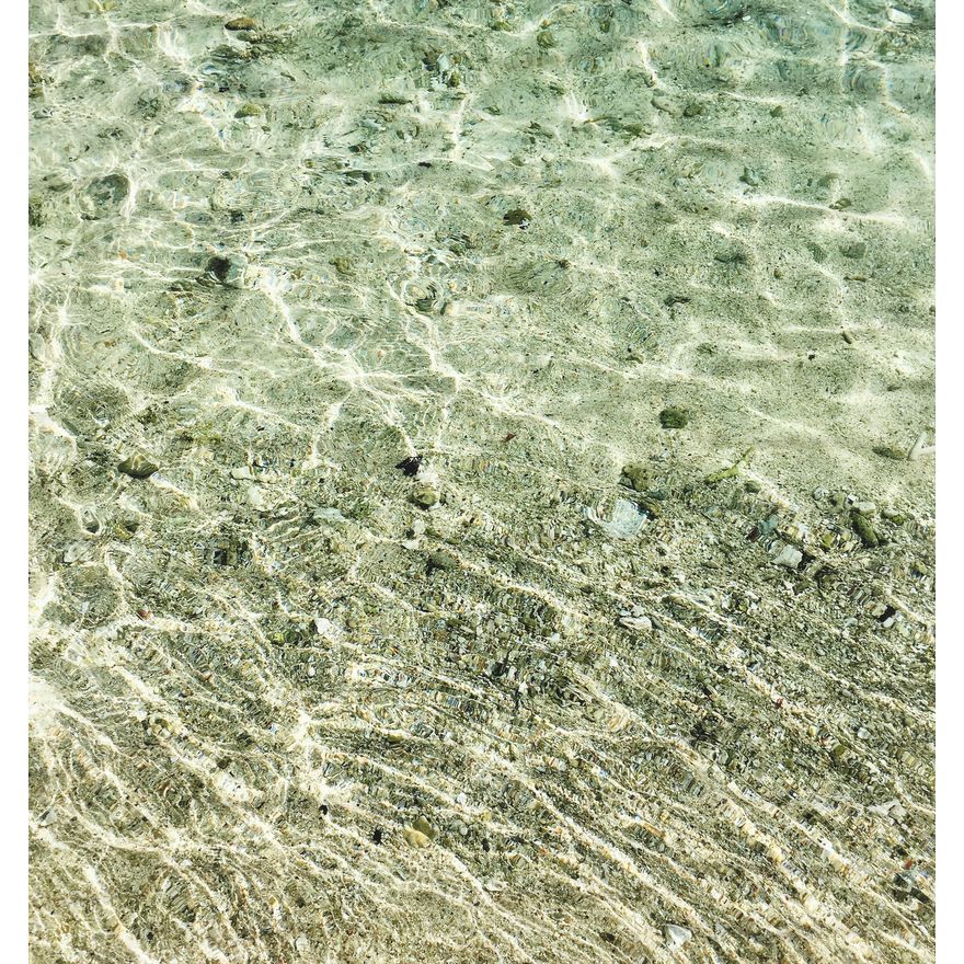 Erica van Zon 'Coral Beach'