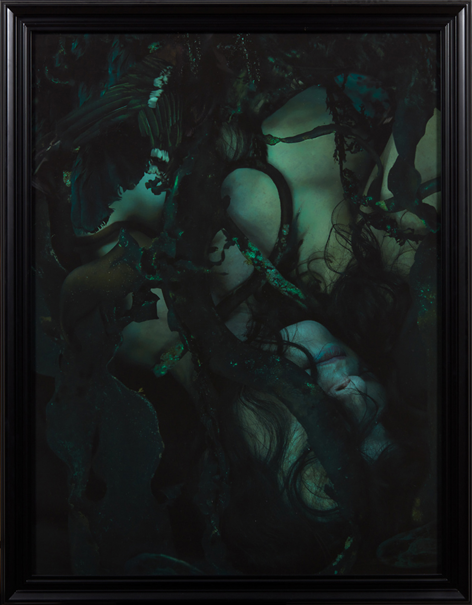 Fiona Pardington 'Katarina Rimu Rapa/Seaweed, Entangled, Wahine Patere, Wahine Panekeneke' — NZ auction result