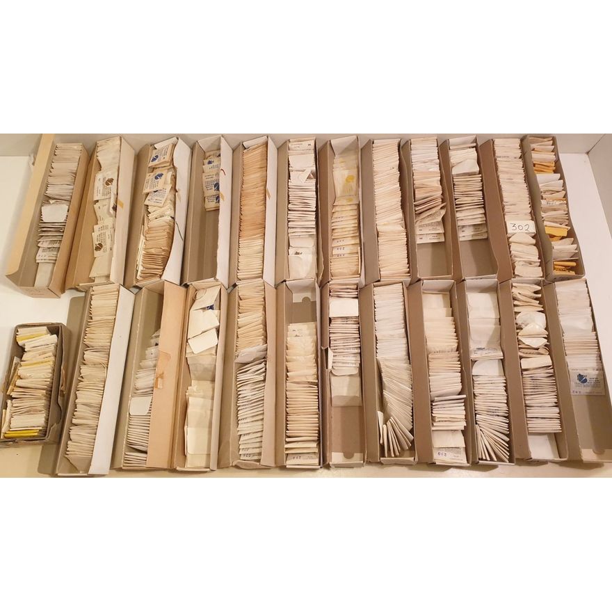 Acrylic Watch Glasses - Various Sizes