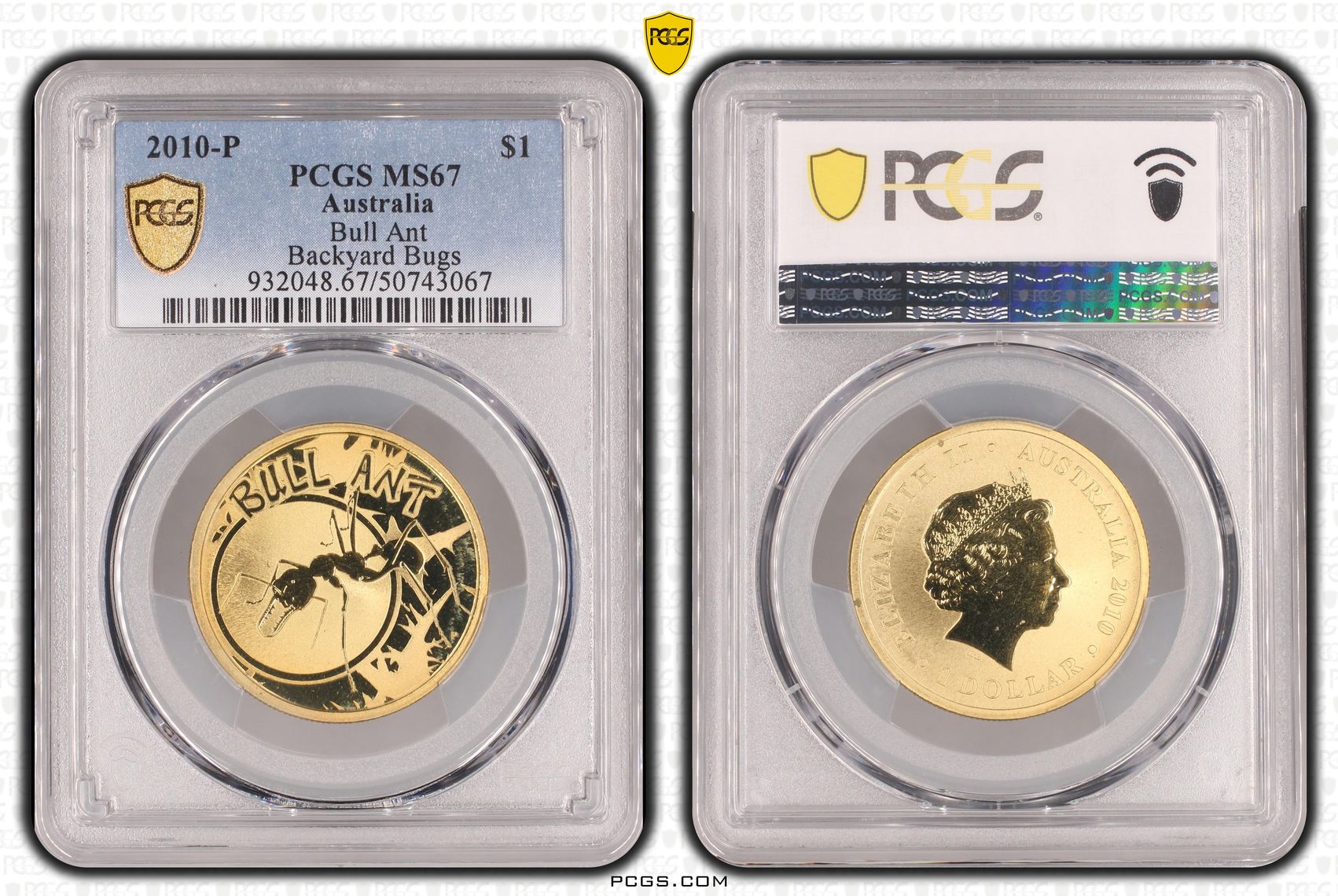 Bull Ant, One Dollar, 2010-P, PCGS MS67