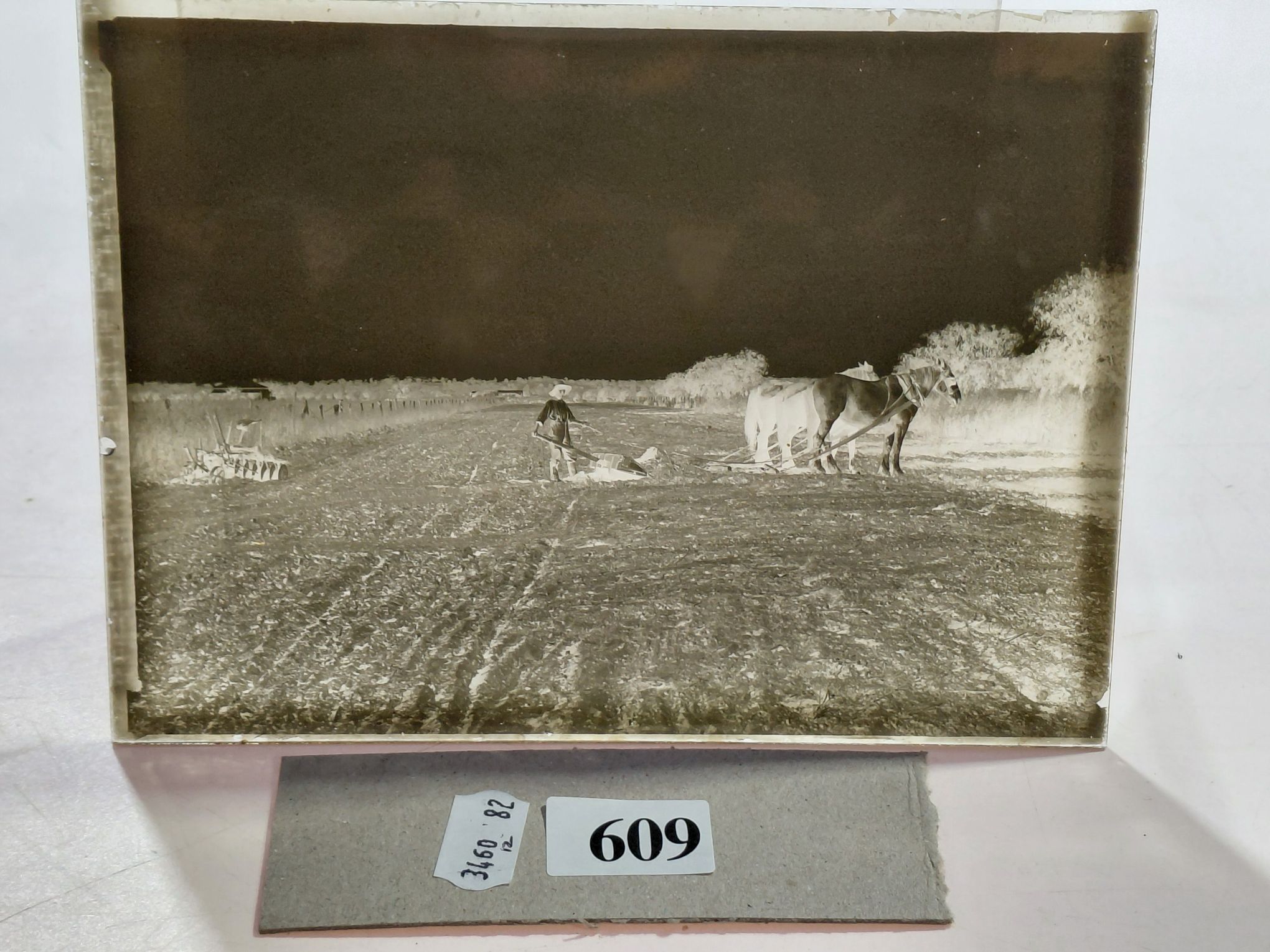 GLASS NEGATIVES