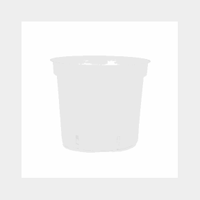 Orchid Plastic Pot Clear Small (Slotted Holes) - Bar 9902003558810 - 51734/2244 SN B2 (S6)