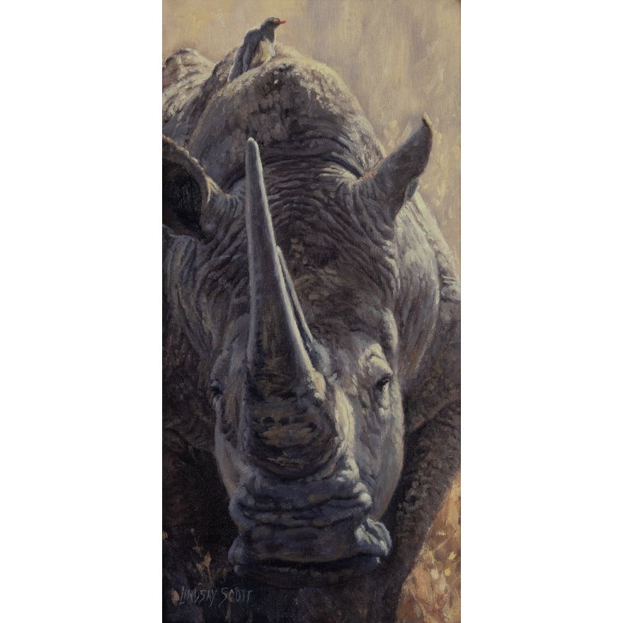 Lindsay Scott (1955- ): Approaching
