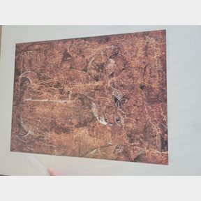 Limited Edition Glenda Wathen Native animal print