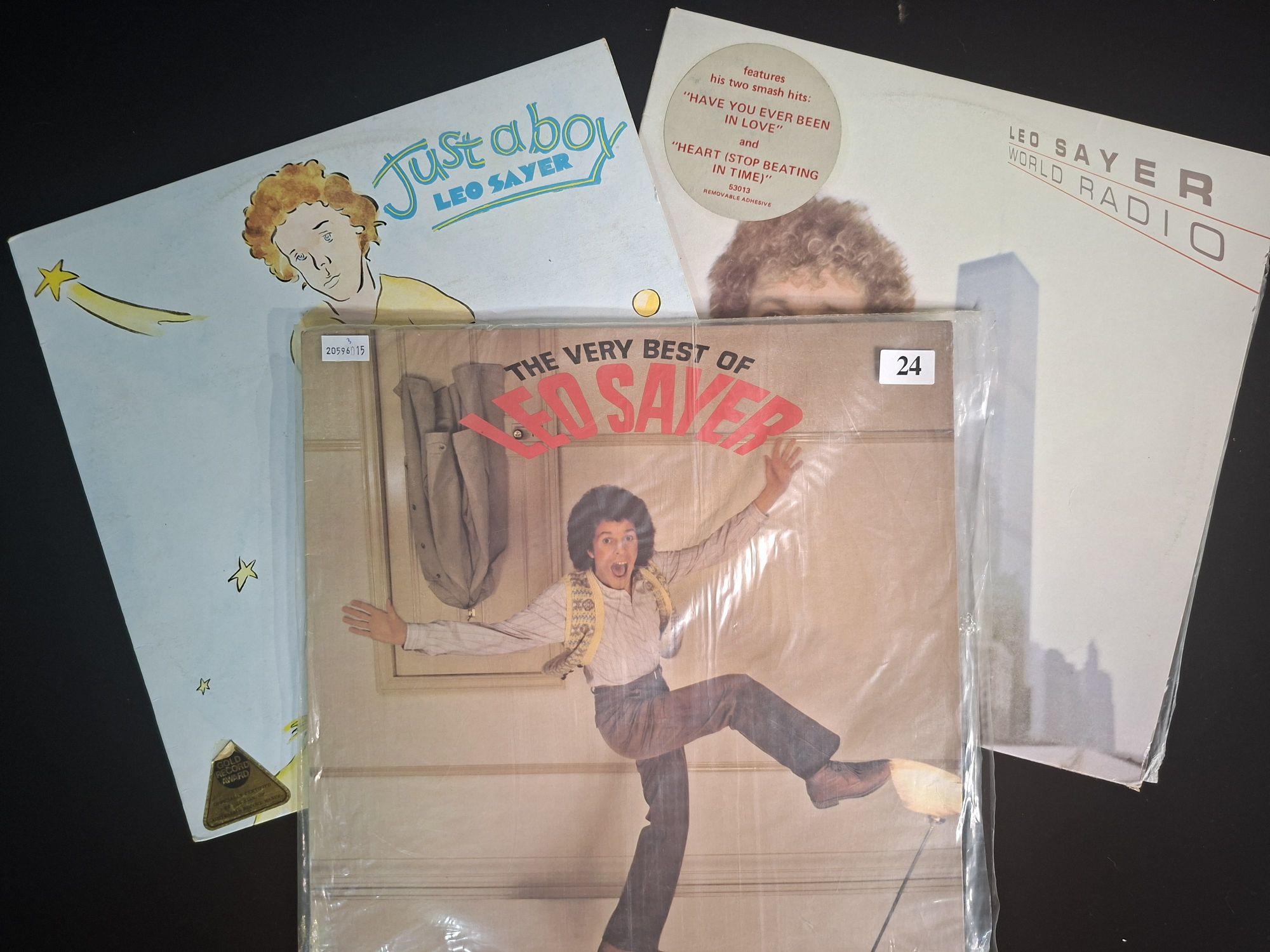 Leo Sayer