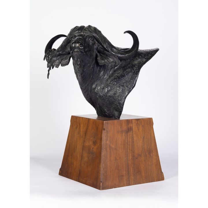 Dennis P. Anderson (1940-2005), Dagga Boy