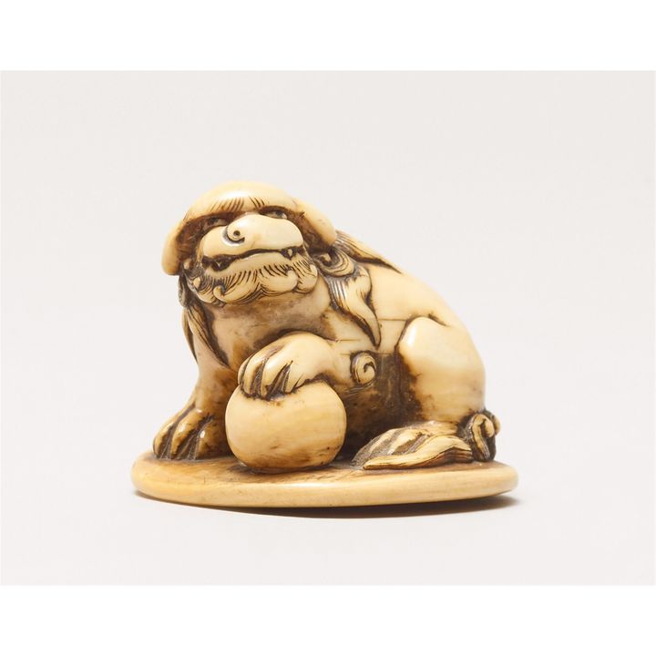 An ivory netsuke of a shishi with a ball. 19th century