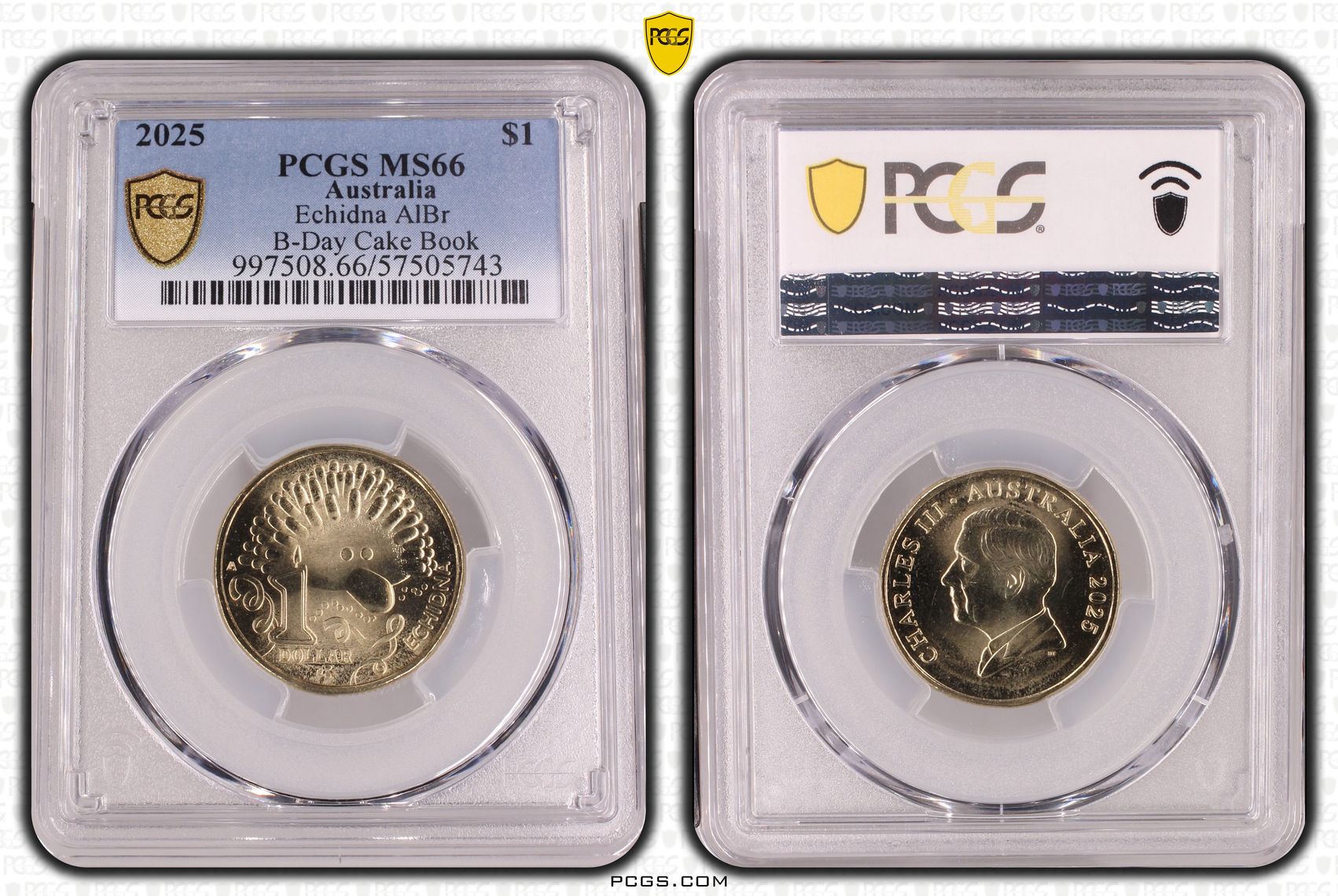 422 · Echidna AlBr B-Day Cake Book, One Dollar, 2025, PCGS MS66
