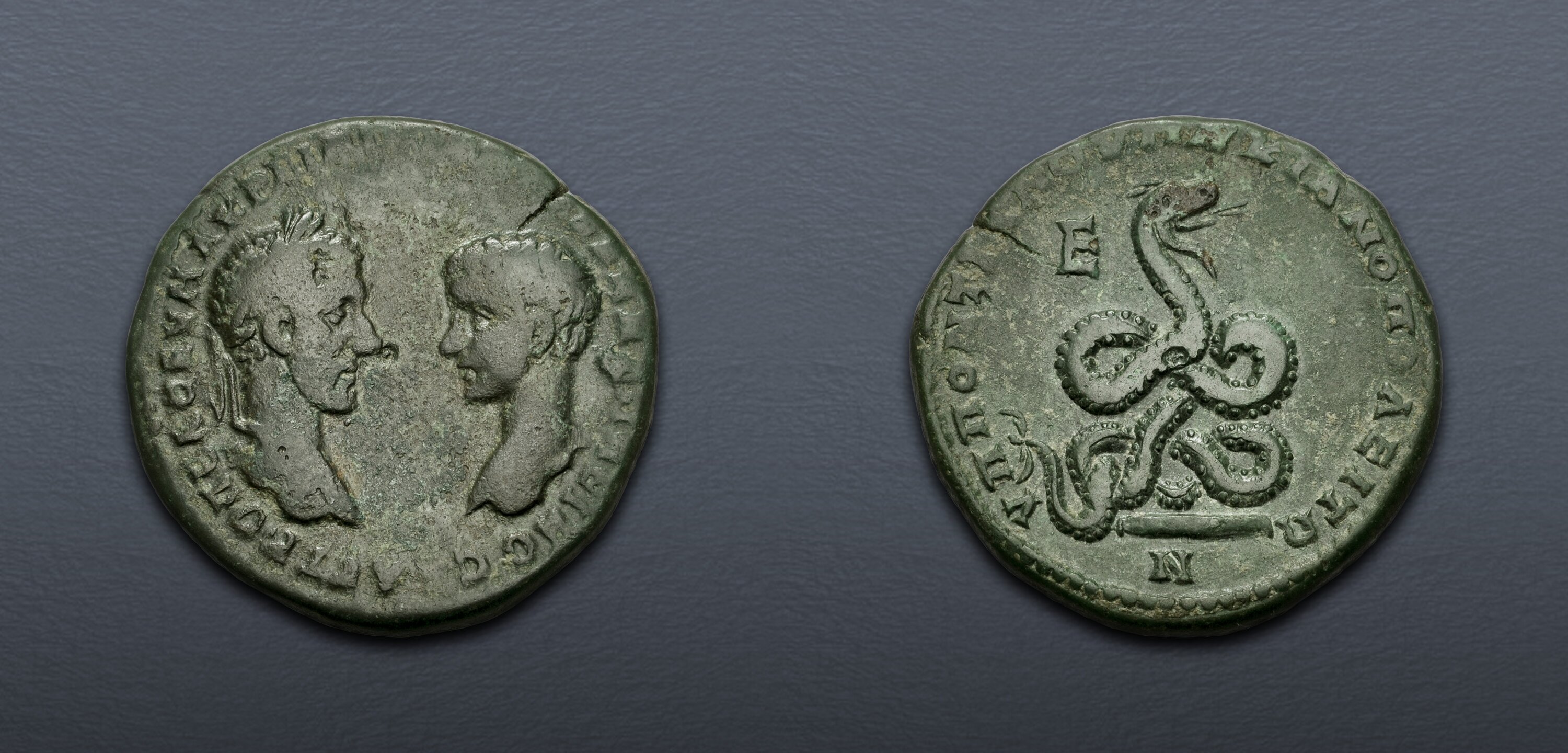 MOESIA INFERIOR, Marcianopolis. Macrinus, with Diadumenian as Caesar ...