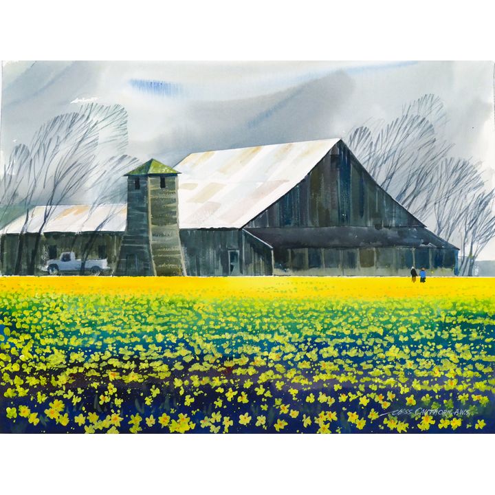 Jess Cauthorn A.W.S. ''Daffodil Time'' (Skagit Valley) Watercolor
