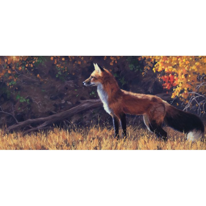 Lindsay Scott, (1955-) Untitled (Fox)