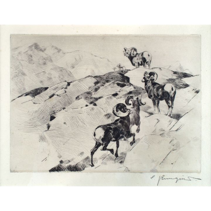 Alarmed by Carl Rungius (1869-1959)