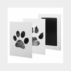 51303/300031 - Footprint/Handprint Ink Pad For Kids Or Pets (SB3)