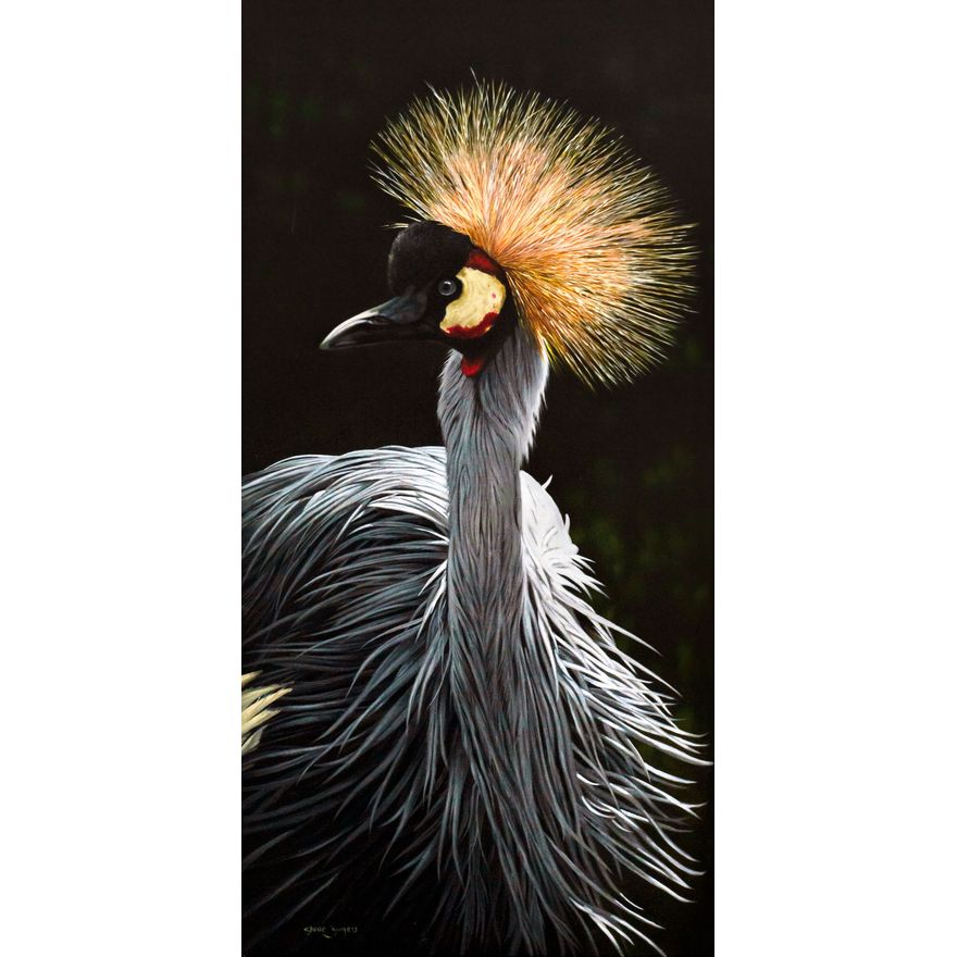 Steve Burgess (1960-), Crowned Crane