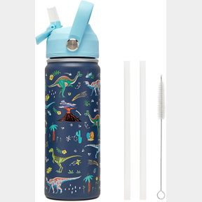 18OZ KIDS INSULATED WATER BOTTLE WITH STRAW LID - 18/8 STAINLESS STEEL KID CUP BPA-FREE TRAVEL TUMBLER DOUBLE WALL VACUUM LEAK PRO