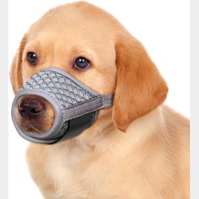 XS-(SNOUT CIR: 3 -4 ") DOG MUZZLE, SOFT MUZZLES FOR SMALL MEDIUM LARGE DOGS, MOUTH COVER TO PREVENT BITING, CHEWING, PUPPY MOUTH G