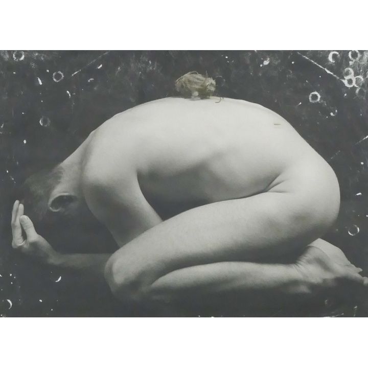 Nichole DeMent ''The Nest 2'' 2003 Silver Gelatin Print Framed- 17x21''