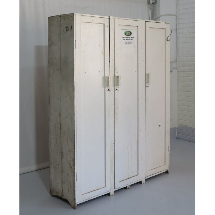 LARGE PAINTED STOREROOM CUPBOARD