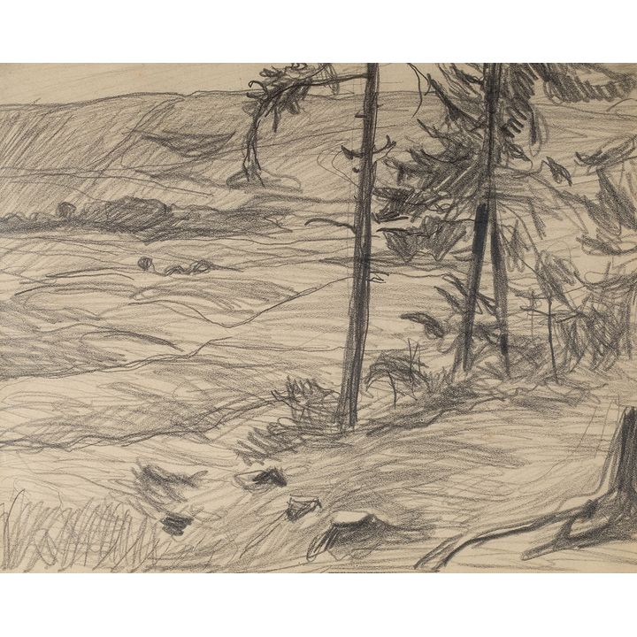 Stanisław Kamocki | Pejzaż podgórski z samotnymi świerkami, ok .1908