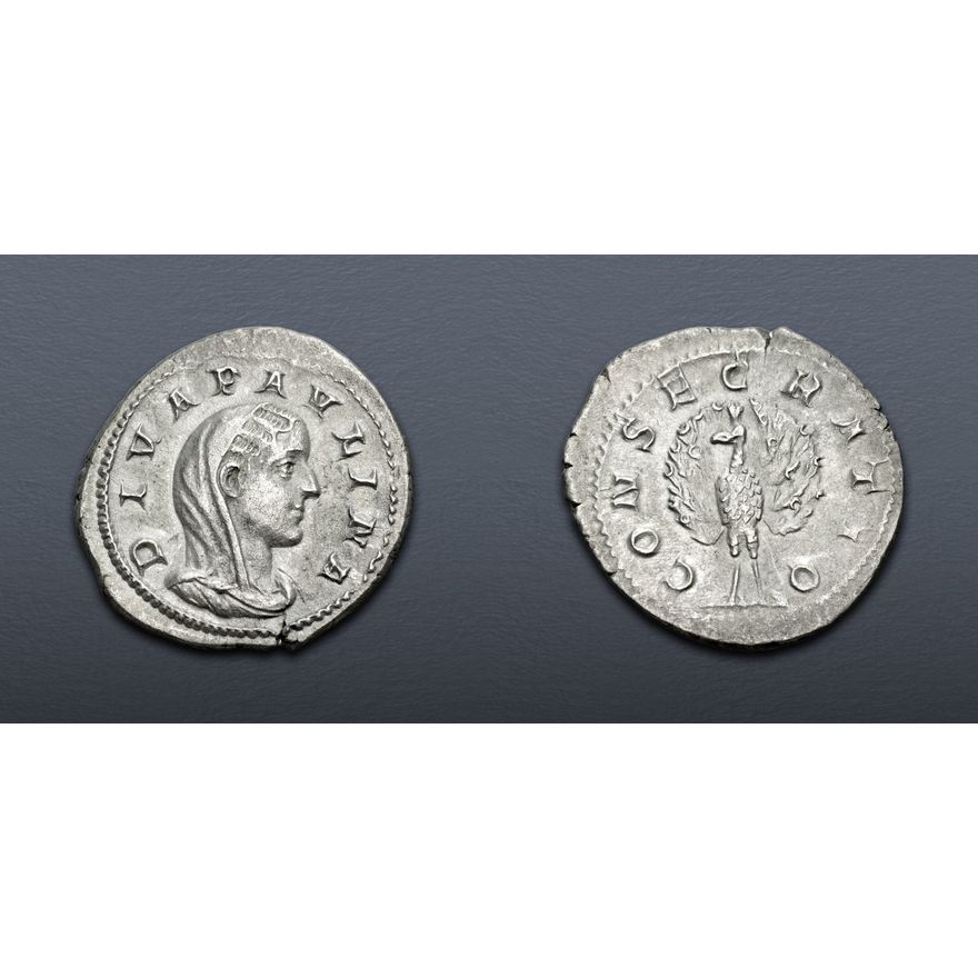 Diva Paulina Died Before AD 235 AR Denarius 21mm 2 72 G 6h diva-paulina-died-before-ad-235-ar-denarius-21mm-2-72-g-6h