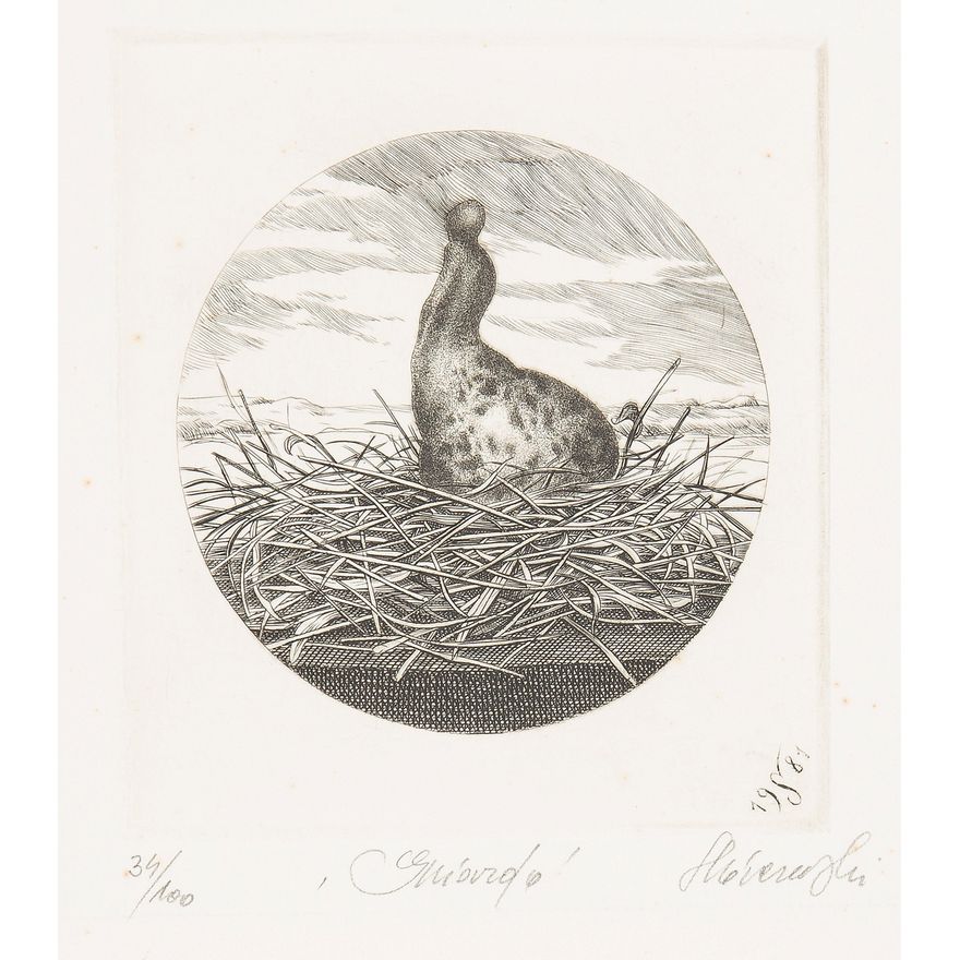 Krzysztof Skórczewski | Gniazdo, 1981