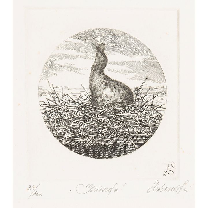 Krzysztof Skórczewski | Gniazdo, 1981